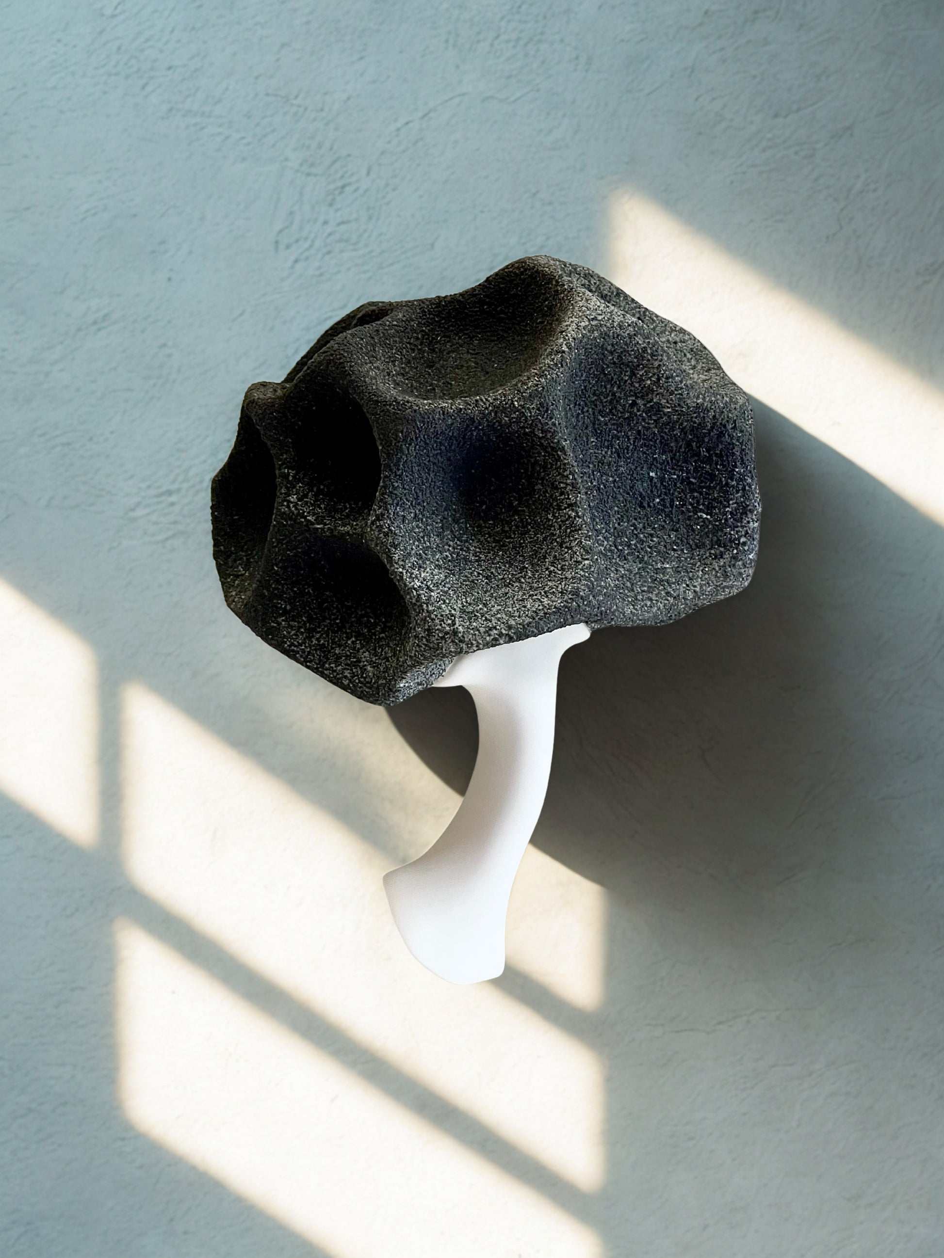 Crazy Wallflower — Black Spore porcelain wall sculpture installed on a wall, showing its three-dimensional form and sculptural presence.
