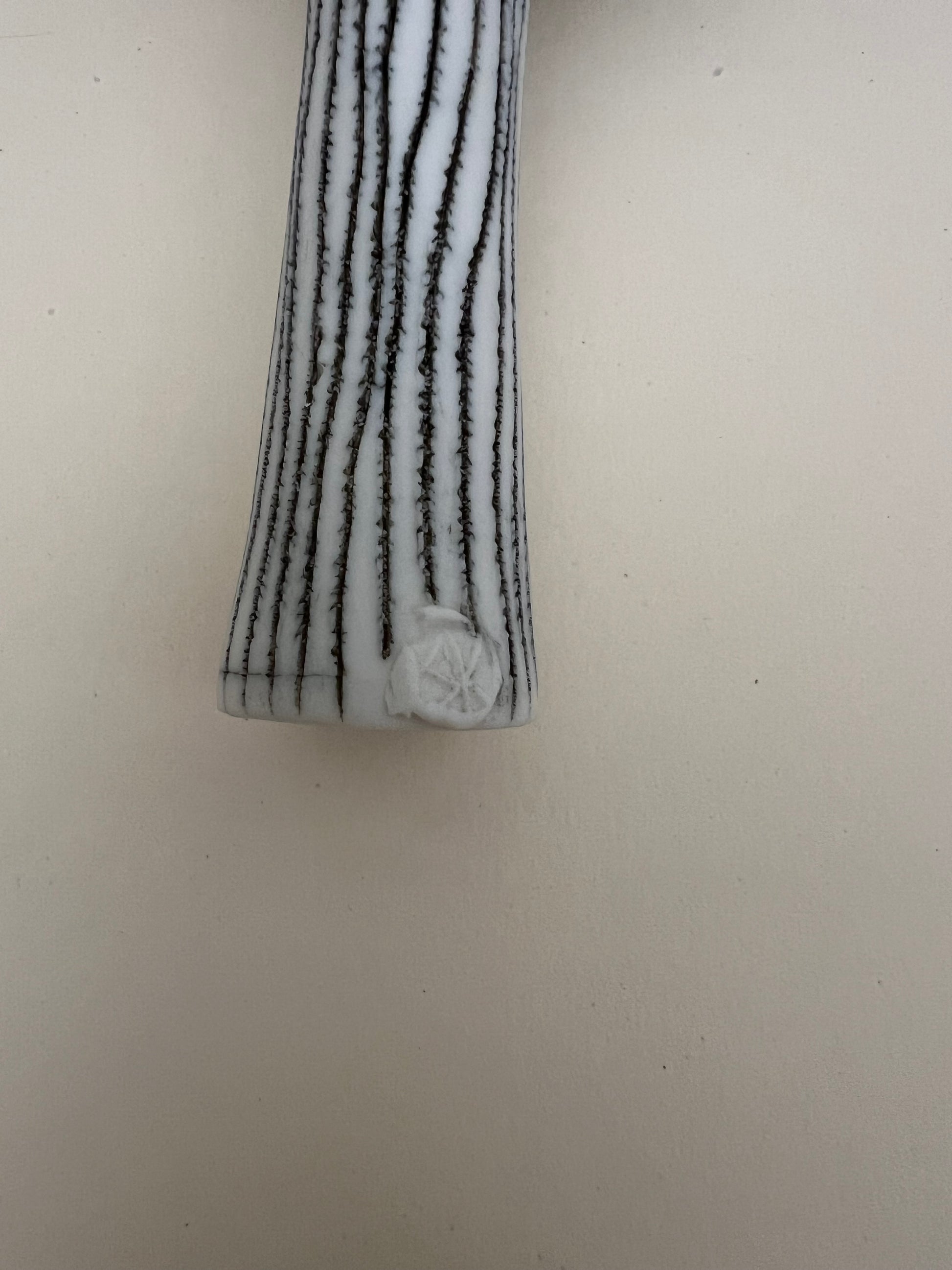detail of stem and my brand