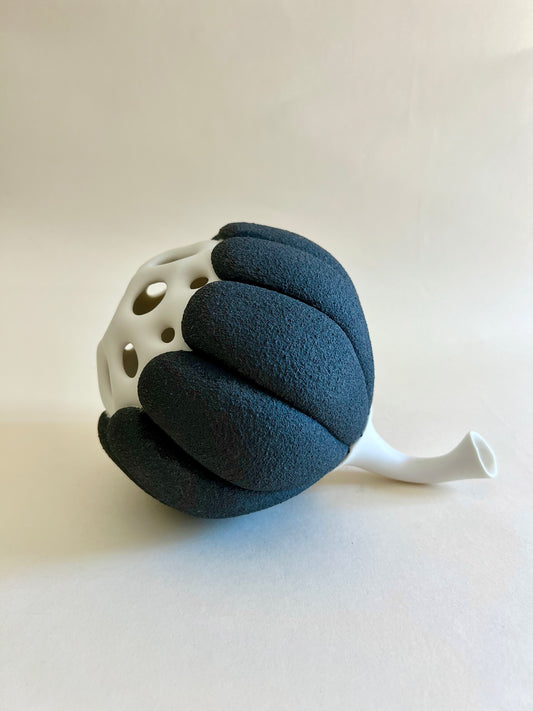 Handmade porcelain sculpture inspired by a botanical seed pod with textured black porcelain shell.